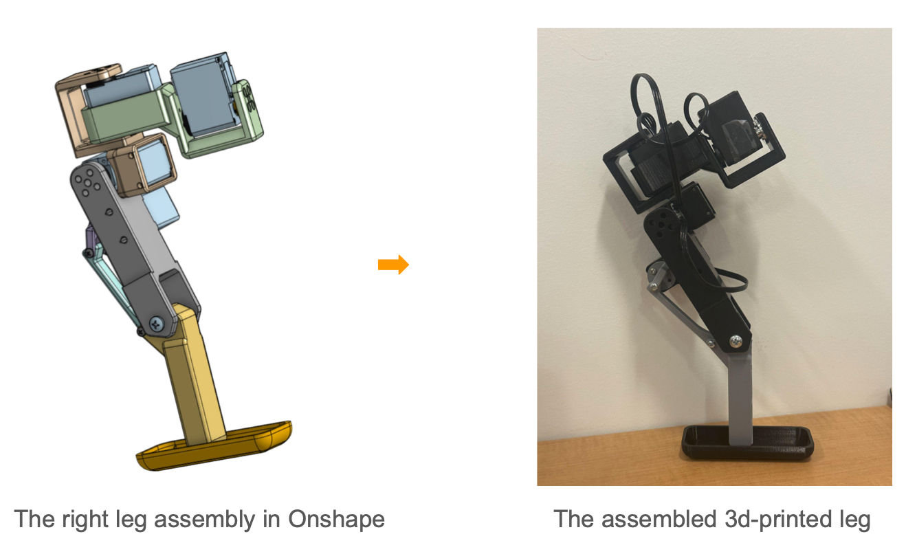 Single leg: CAD design next to the assembled 3D-printed leg