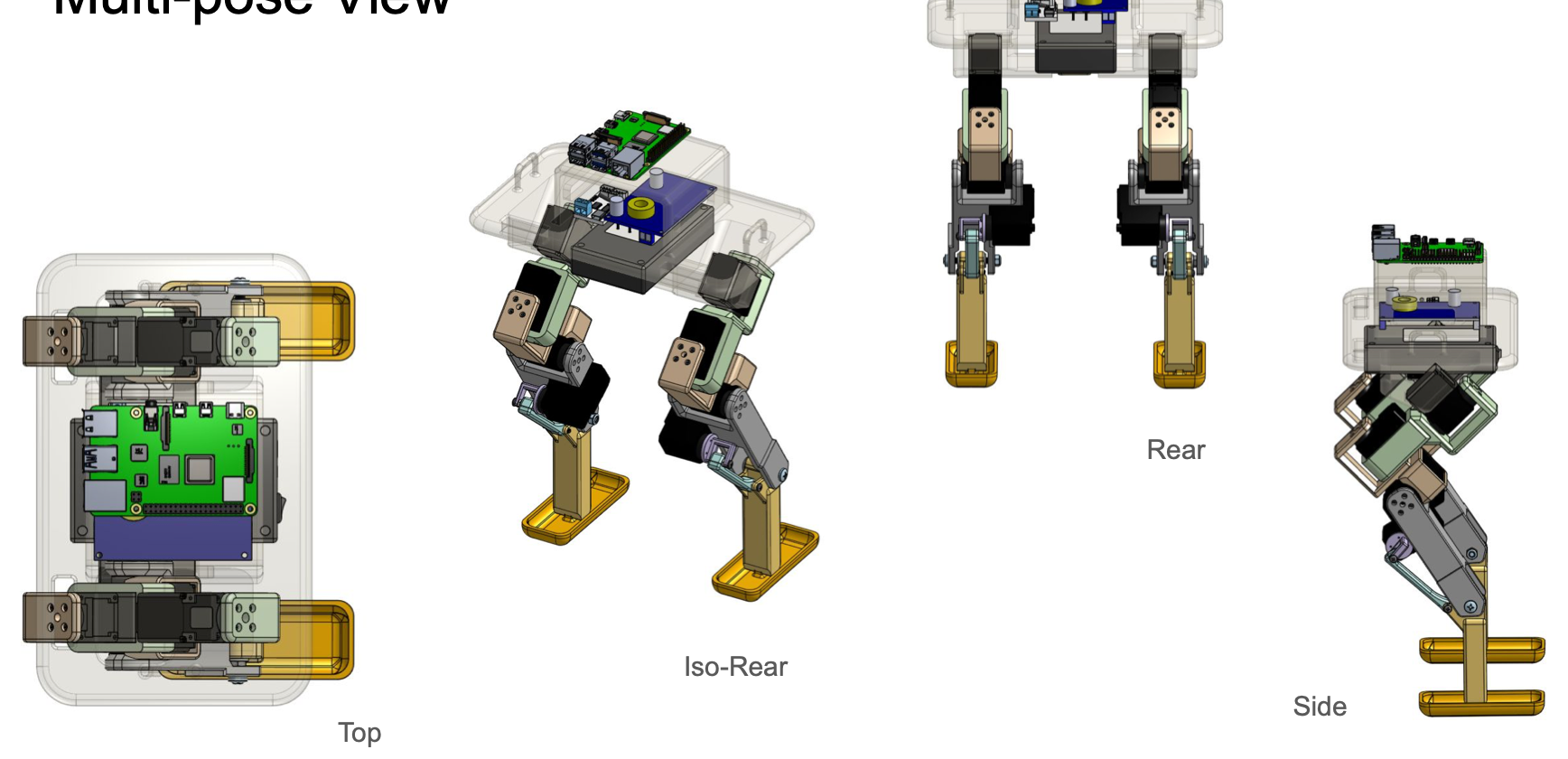 Multi-pose: top, iso-rear, rear, side